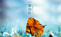 立秋当天的讲究和禁忌 立秋最好不出门的原因
