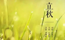 立秋喝什么茶好 立秋喝什么汤比较好