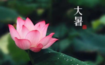 2017大暑节气养生常识攻略 2017大暑养生要点有哪些