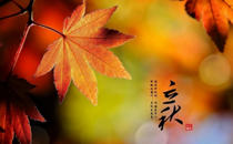 2017立秋后会凉爽一些吗 2017立秋后天气怎么样