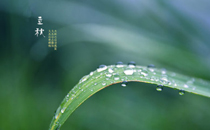2017立秋什么时候开始什么时候结束 立秋后是什么节气