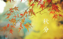 立秋和秋分是一个节气吗 立秋和秋分是一天吗