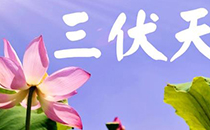 三伏天出汗能去湿气吗 三伏天出汗太多好吗