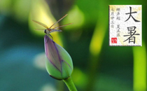 大暑有什么风俗禁忌 大暑有什么讲究