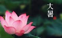 大暑节气为什么要送大暑船 大暑送大暑船有什么寓意说法