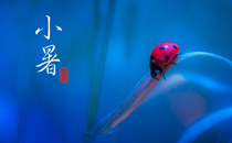 2017小暑是几号几点几分几秒 2017小暑节气具体时间