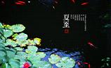 2017夏至是几号几点几分几秒 2017年夏至具体时间