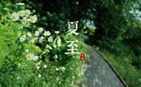 2017夏至后天气会越来越热吗 夏至后天气怎么样
