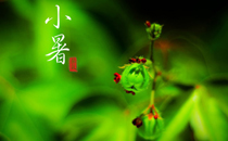 2017小暑会很热吗 小暑前后天气怎么样