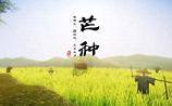 2017年芒种是哪一天 2017年芒种时间