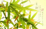 2017芒种在几点是什么意思 芒种节气的风俗习惯有哪些