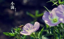 小满可以同房吗 小满同房好不好