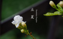 立夏吃什么水果 立夏养身汤喝什么最好