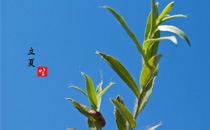 立夏能同房吗 立夏同房好不好