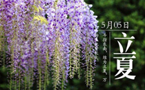 立夏是夏至吗 立夏和夏至的区别
