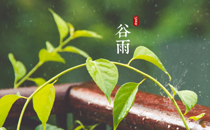 2017年谷雨可以搬家吗 2017谷雨搬家好吗
