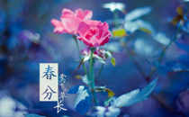 2017春分具体什么时候 春分是第几个节气