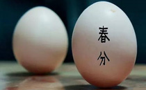 春分为什么要吃鸡蛋 春分竖鸡蛋的传统由来
