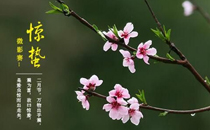 惊蛰节气可以同房吗 惊蛰节气同房好不好