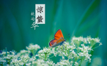 惊蛰天气一定会冷吗 惊蛰天气温度一般是多少