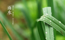 雨水节气一定会下雨吗 雨水节气下雨有什么说法