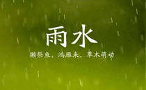 雨水之后的节气是什么节气 雨水前一个节气是什么节气