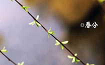 春分后天气还会冷吗 春分后面是什么