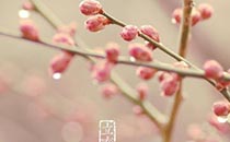 立春后天气还会冷吗 立春后多久暖和