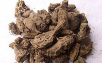草乌中毒开始什么症状 草乌中毒怎么解