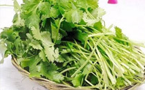哺乳期可以吃香菜吗 哺乳期吃香菜有影响吗