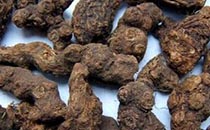 香附的功效与作用 香附的副作用是什么