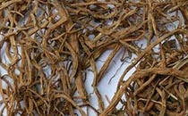 龙胆草的功效与作用及禁忌 龙胆草泡水喝的功效