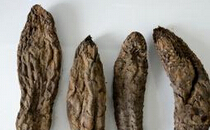 肉苁蓉泡水喝一天几次 肉苁蓉的功效与作用