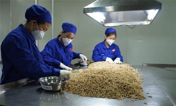 汇仁药业：高品质铸造，中医药产业走向“万亿”时代