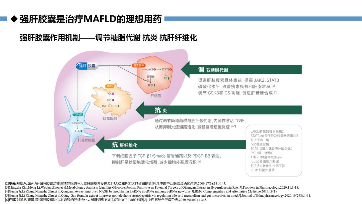代谢相关性脂肪性肝病的更名对强肝胶囊的影响