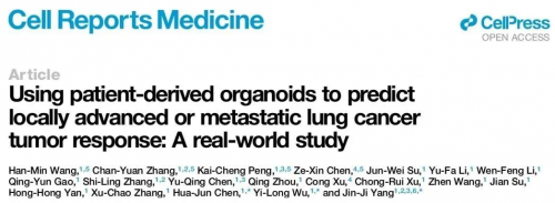 17分！Cell子刊：NGS结合类器官药敏试验准确预测肺癌患者临床疗效