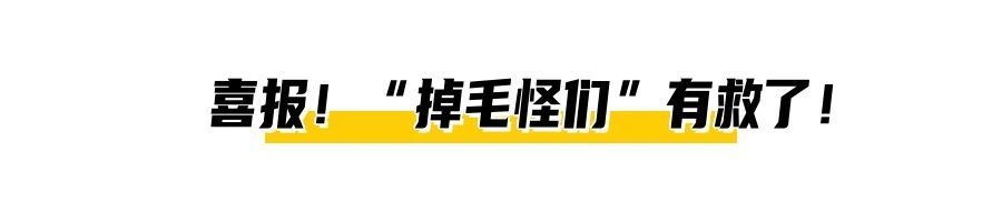 https://img2.danews.cc/upload/images/20230729/78f6a63b7257c6ba309af0df14a9eb0b.png
