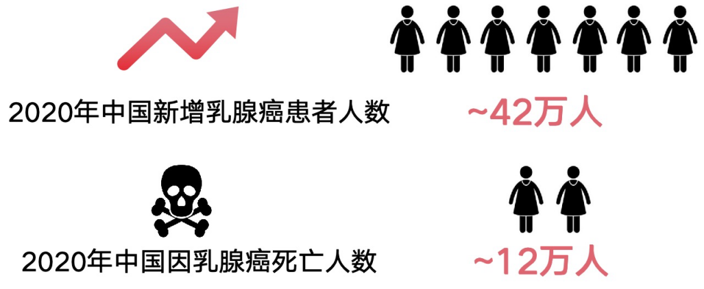 世界乳腺癌宣传日