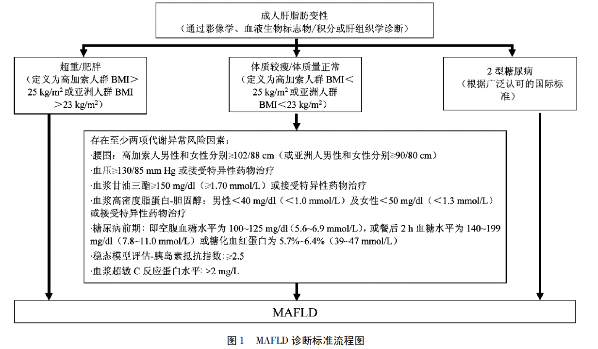 非酒精性脂肪性肝病与代谢综合征的内在联系(1)