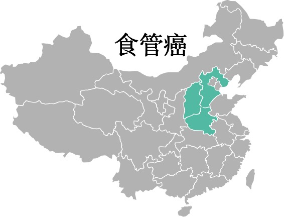  食管癌，你真的了解吗？