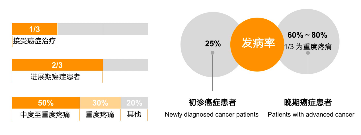  西黄胶囊被纳入《癌痛规范化治疗中成药合理使用专家共识》