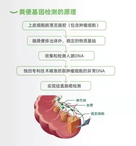 专家科普说 | 压力大、精神紧张会造成肠道不适,影响肠道健康