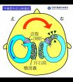 <晕眩耳鸣专栏>转头时眼不动 就医发现是半规管堵住了