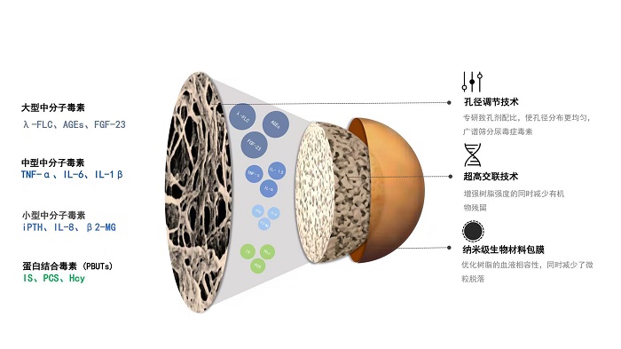 从源头定制清毒方案：健帆全血灌流如何精准实现血液净化？	