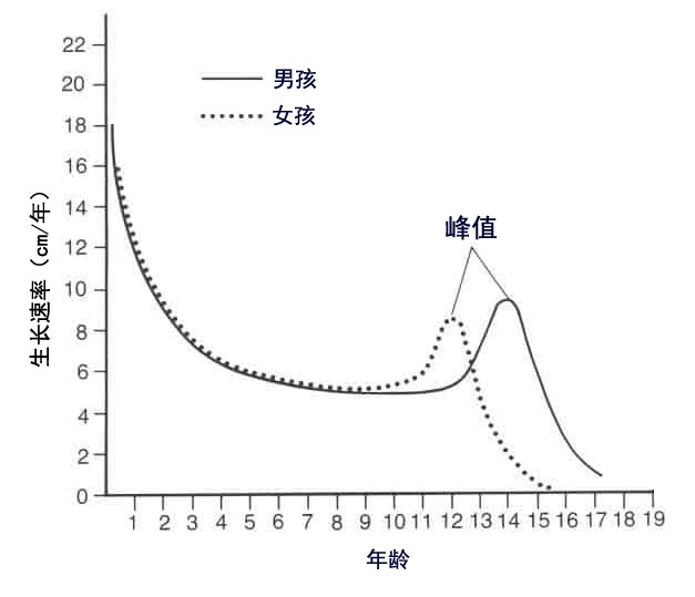 理解生长发育及矮小疾病的诊断	